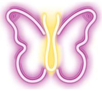 LED Light of Neon avec lumière USB LED Light pour thehome, veilleuse, papillon, rose