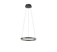 LED Lustre Anneau Ø 39,3 CM Dimmable Métal Anthracite 3000 K Lampe Suspendue