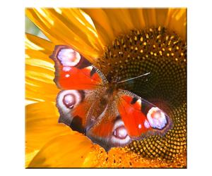 LED photo papillon mur décoration photo lumière éclairage image toile mur image chaud blanc Eglo 75037