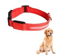 LED Pour Animaux Compagnie | De Recharge USB | Anti-perte, Clignotant Pour Chien, Fournitures D'accessoires Pour Petits Chiens Et Chats