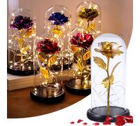 LED Rose éternelle dans un verre, roses avec lumière, roses cadeaux pour femmes, maman, dames, anniversaire, anniversaire, Saint-Valentin, fête des mères