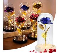 LED Rose éternelle dans un verre, roses avec lumière, roses cadeaux pour femmes, maman, dames, anniversaire, anniversaire, Saint-Valentin, fête des mères