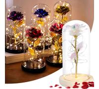 LED Rose éternelle dans un verre, roses avec lumière, roses cadeaux pour femmes, maman, dames, anniversaire, anniversaire, Saint-Valentin, fête des mères