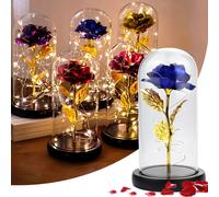 LED Rose éternelle dans un verre, roses avec lumière, roses cadeaux pour femmes, maman, dames, anniversaire, anniversaire, Saint-Valentin, fête des mères