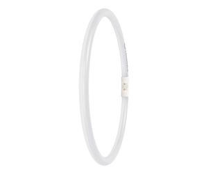 LED T5 circulaire 21,5 W (40/55 W éq.) externe P 4000 K 840 2GX13 Ledvance