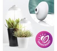 LED VERDI 5W Lampe à LED pour plantes, Lumière à spectre complet pour plantes d'intérieur, Lampe à LED pour la croissance des plantes, réglable en hauteur, avec minuterie 8/1/16 heures et charge USB, 