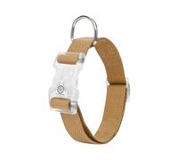 LedDog Collier réfléchissant réglable en pur coton et élastique pour chiens de petite, moyenne et grande taille (marron, 51 à 65 cm)