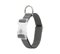 LedDog Collier réfléchissant réglable en pur coton et élastique pour chiens de petite, moyenne et grande taille (gris foncé, 51 à 65 cm)