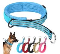 Ledeak Collier Martingale Chien, Collier de Dressage pour Chien, Colliers en Nylon Réfléchissant Réglable Anti-évasion pour Chiens de Taille Moyenne et Gande, Martingale Dog Collar (Bleu, L)