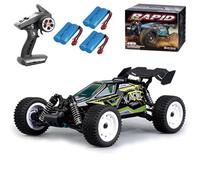 Ledovan Voiture télécommandée 1:16 pour adulte, 50 km/h, tout-terrain, camion monstre étanche 4WD, moteur à balais de charbon, buggy RC 2,4 GHz, vert (3 piles)