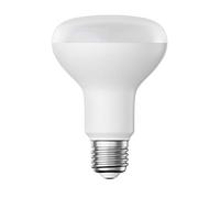 ledscom.de Ampoule LED E27, R80, blanc chaud (2700 K), 10 W, 935lm, mate