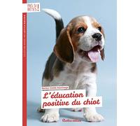 L'éducation positive du chiot