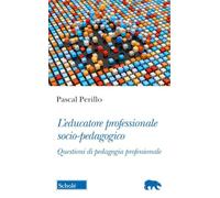 L'educatore professionale socio-pedagogico. Questioni di pedagogia professionale