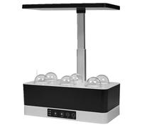 LEDVANCE 4058075576179 lampe de culture pour plantes Ampoule LED
