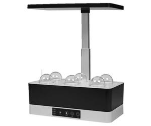 LEDVANCE 4058075576179 lampe de culture pour plantes Ampoule LED