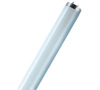 LEDVANCE Tube fluorescent LUMILUX T8, 18 Watt, G13 (830)