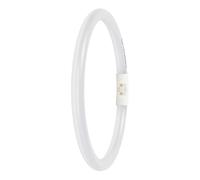 LEDVANCE Tube LED T5, 2GX13, 11,6 W, 4000 K, blanc froid, 1700 lm, 225 mm, intensité variable