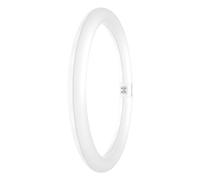 LEDVANCE Tube LED T9 Value Circulaire (EM/Direct 230V) 18.3W 2000lm - 830 Blanc Chaud | Équivalent 32W
