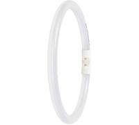 LEDVANCE Tubes LED CEE: D (A - G) LED forme de tube T5 11.6 W blanc lumière du jour (Ø x L) 16.50 mm x 225.00 mm 1 pc(s)