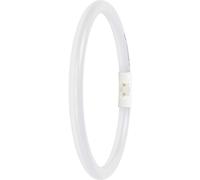 LEDVANCE Tubes LED CEE: E (A - G) forme de tube T5 11.6 W blanc chaud (Ø x L) 16.50 mm x 225.00 mm 1 pc(s)