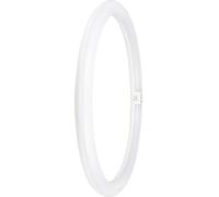 24W LED T9 Circulaire Tube, G10q, 6500K, 2900lm, non-Graduable - 4099854042584