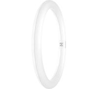 LEDVANCE Tubes LED CEE: F (A - G) G10q forme de globe 18.3 W blanc chaud (Ø x L) 300.00 mm x 300.00 mm 1 pc(s)