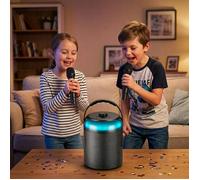 LEDWOOD PLAYKARAOKE Enceinte Karaoké Autonome 120W LED Bluetooth 5.1 2 Micros sans fil Effets Vocaux Clé USB 32Go