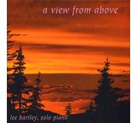 Lee Bartley - View from Above