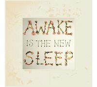 Ben Lee Awake Is the New Sleep (Vinyl) 10th Anniversary 12" Album