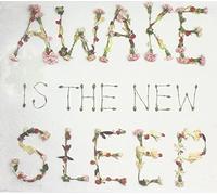 Ben Lee – Awake Is the New Sleep – Import