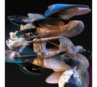 Lee Gamble - A Million Pieces Of You [Vinyl] Clear Vinyl