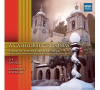 Lee Gwozdz - Cathedral Christmas