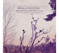 Lee Bains & the Glory Fires – There Is a Bomb in Gilead – Import – Alive