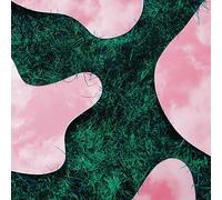 Lee Paradise - Lee Paradise & Co [Import]