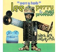 Lee Perry & Mad Professor - Black Ark Experryments