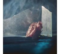 Lee Ranaldo - In Virus Times [Vinyl]