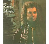 Lee Ritenour - Feel The Night