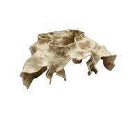 LeeQinersw Abri Aquatique Refuge Cachette Décoration Grotte Forme Unique Observation Facile Cavité Léger Adapté à Aquarium Communauté Élevage Aquariophilie, Sable Jaune, Petit S - 14cm X 9cm X 5cm