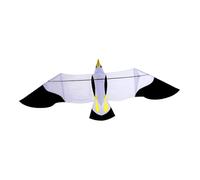 LeeQinersw Aigle et Réaliste pour, Activités Familiales et Plage