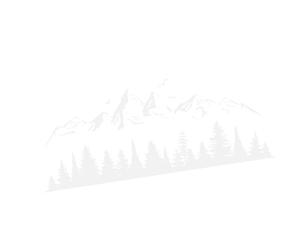 LeeQinersw Autocollants pour Véhicules, Application Facile, Autocollants d'origine pour Carrosserie de, Vitres, Voitures, Camping-Cars, Camions, Blanc