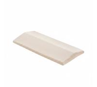 LeeQinersw Coussin de Soutien Lombaire Oreiller pour Lit Appui Dorsal Profil Anatomique Mousse Mémoire Forme Confort pour Positionnement Rembourrage Doux en, Rose en Velours, 60 30 5cm