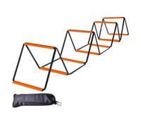 LeeQinersw Échelle de Football Portable pour Les Exercices de Coordination et D'équilibre, 10 Grilles avec Sac