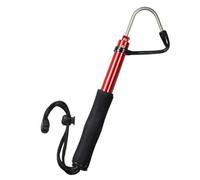 LeeQinersw Gaffe Télescopique Compact | Rétractable, Gaffe Pêche Télescopique, Ergonomique, Perche