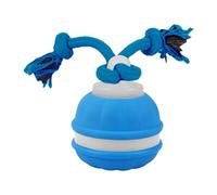 LeeQinersw Jouet Interactif pour Chats et Chiens, Balle D'entraînement pour Chiens avec Corde, Balle pour Animaux de Compagnie pour Le Jardin, Bleu