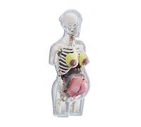 LeeQinersw Kit de Puzzle Scientifique sur L'anatomie Du Corps Humain pour écoliers, Garçons, Filles et Enfants