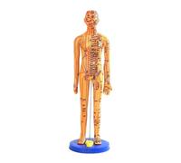 LeeQinersw Modèle D'acupuncture Chinoise, 40 Cm de Haut, Modèle En PVC Représentant Une Personne avec Les Points D'acupuncture, Idéal pour Les Débutants, Cuivre