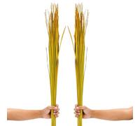 LEEWADEE Tiges d'herbe Naturelle - 2 Bouquets De Branches Colorées pour Vases, Brins Soigneusement Séchés pour La Décoration De La Maison Et du Café, 115 cm, Jaune