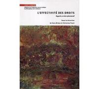 L'effectivité des droits Sara Brimo (Auteur), Christine Pauti (Auteur)