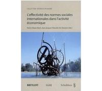 L'effectivité des normes sociales internationales dans l'activité économique friboulet j.-j. Davoine e. (Auteur)