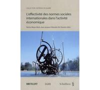 L'effectivité des normes sociales internationales dans l'activité économique - friboulet j.-j. Davoine e. - Schulthess - broché - Etude